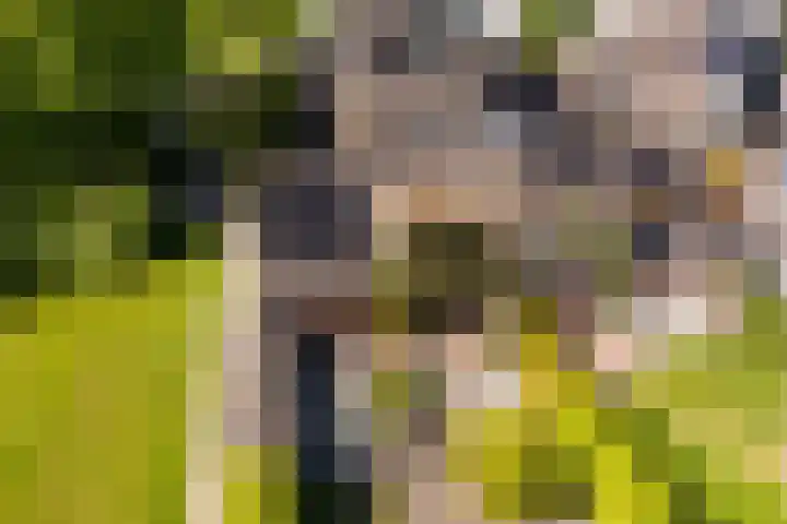 Arkelstein 10 Dordrecht thumbnail 66