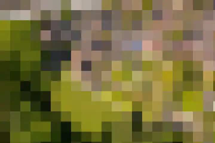 Arkelstein 10 Dordrecht thumbnail 68