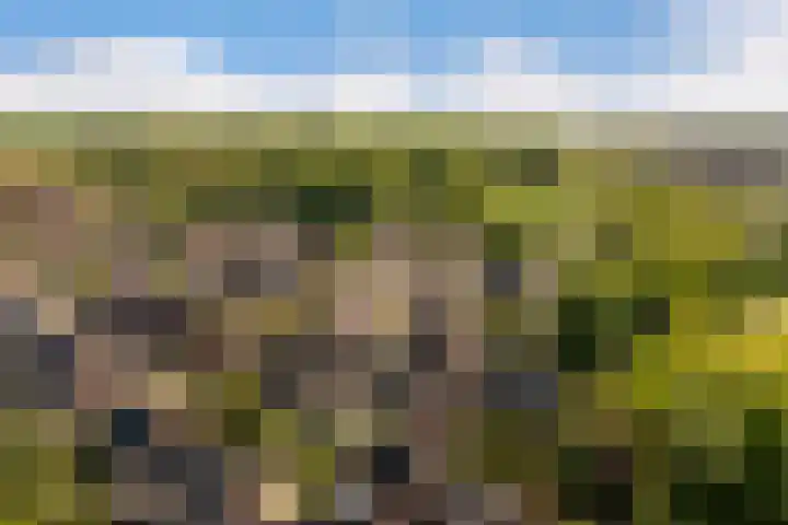 Arkelstein 10 Dordrecht thumbnail 69