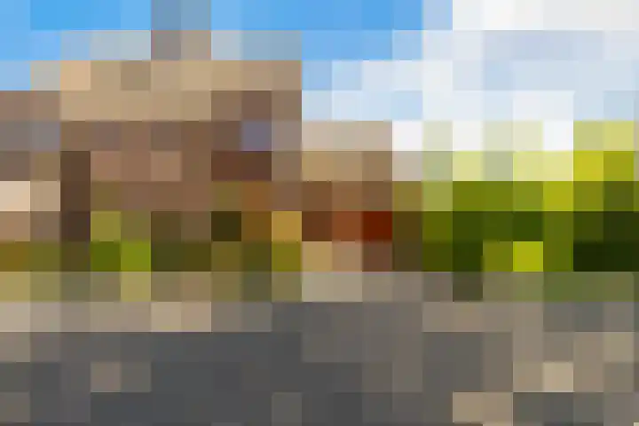 Arkelstein 10 Dordrecht thumbnail 7