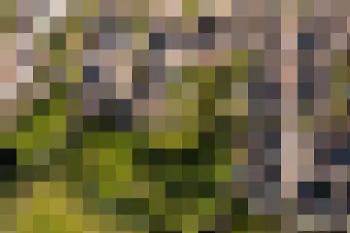 Arkelstein 10 Dordrecht thumbnail 70