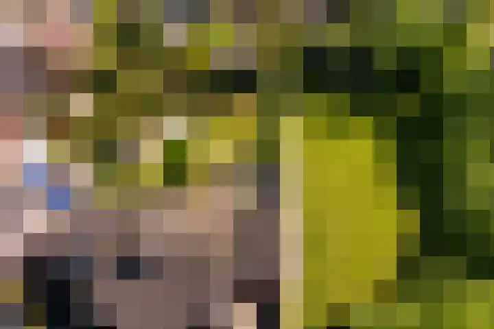 Arkelstein 10 Dordrecht thumbnail 71