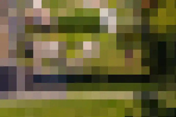 Arkelstein 10 Dordrecht thumbnail 74