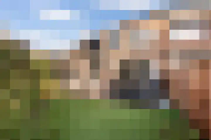 Arkelstein 54 Dordrecht thumbnail 21