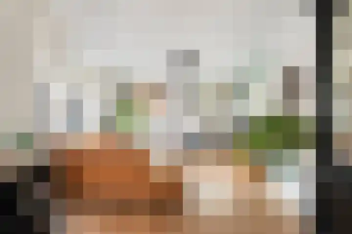 Arkelstein 54 Dordrecht thumbnail 4