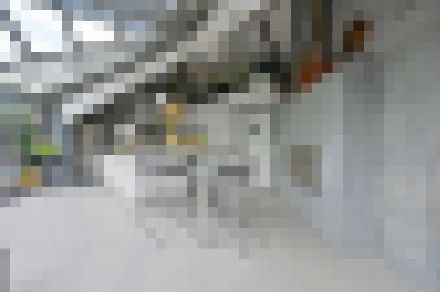 Arkemheenseweg 6 Putten thumbnail 12