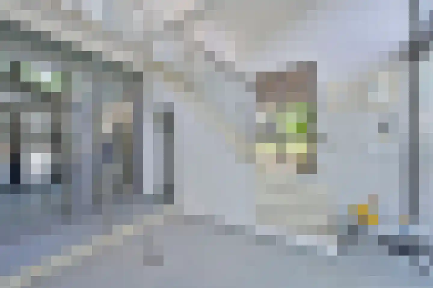 Arkemheenseweg 6 Putten thumbnail 22
