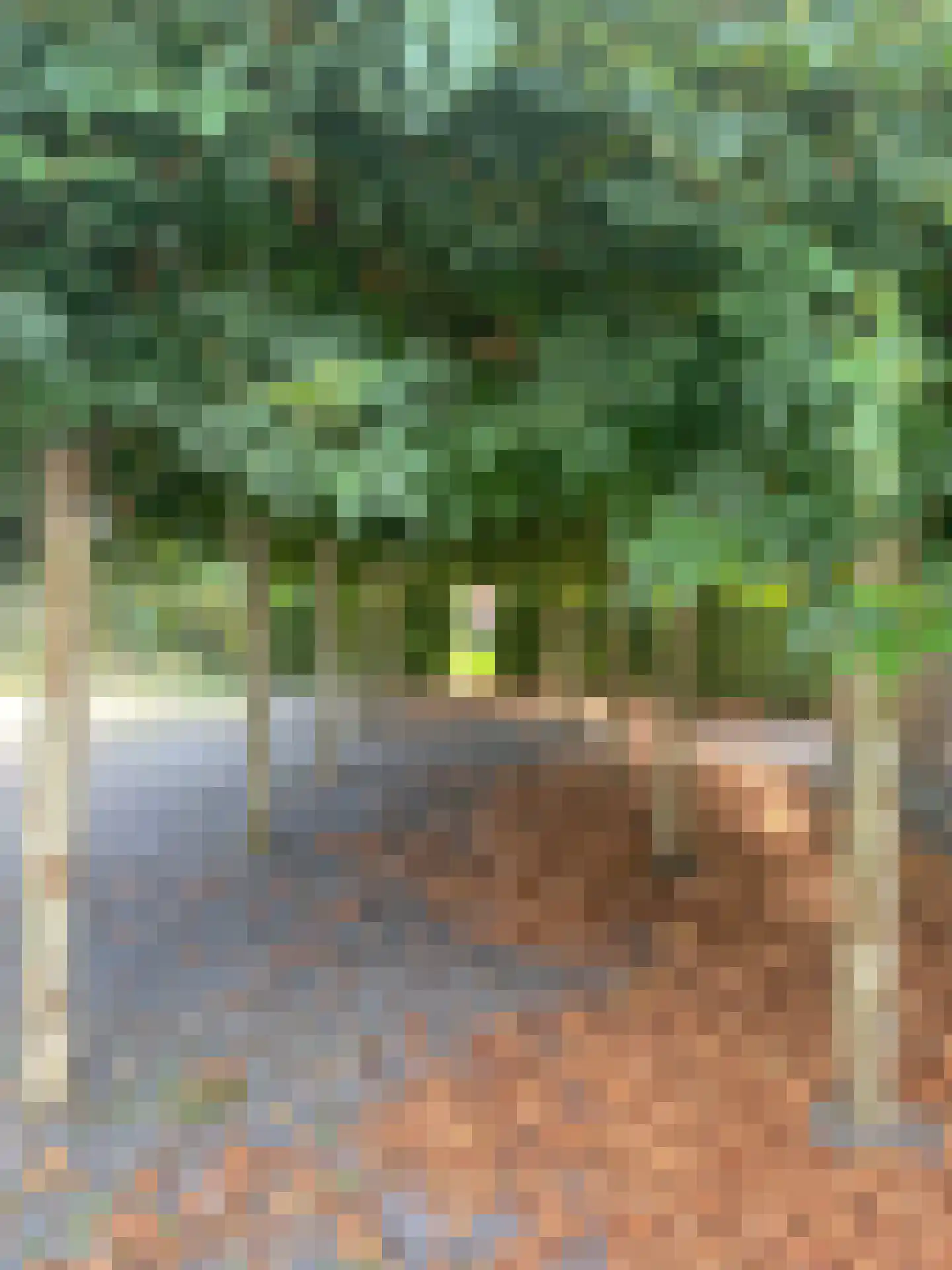 Arkemheenseweg 6 Putten thumbnail 34