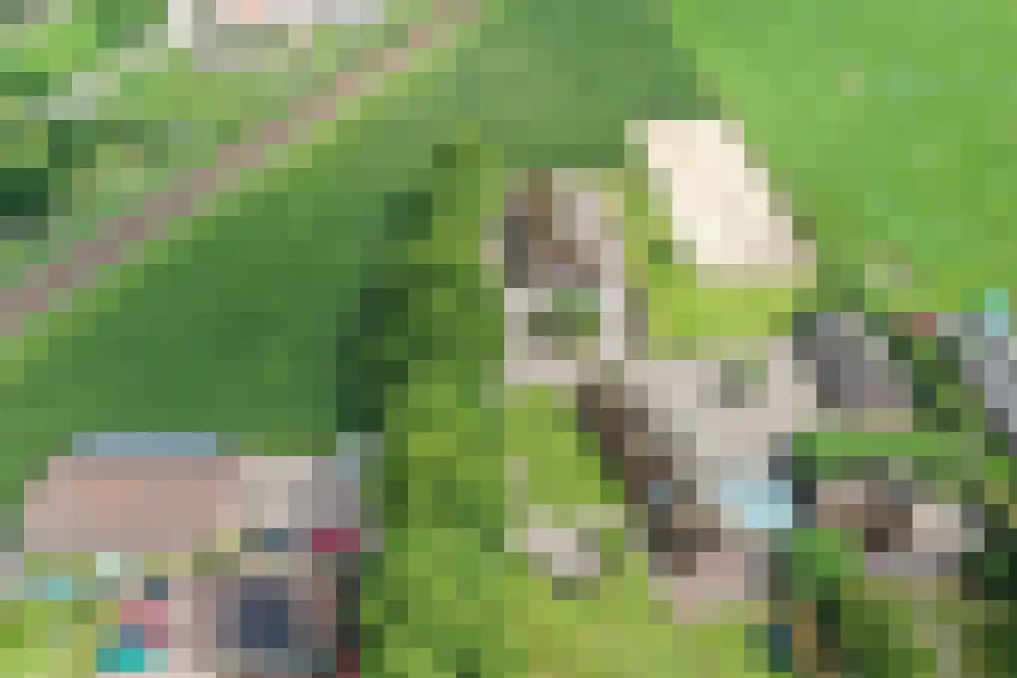 Arkemheenseweg 6 Putten thumbnail 4