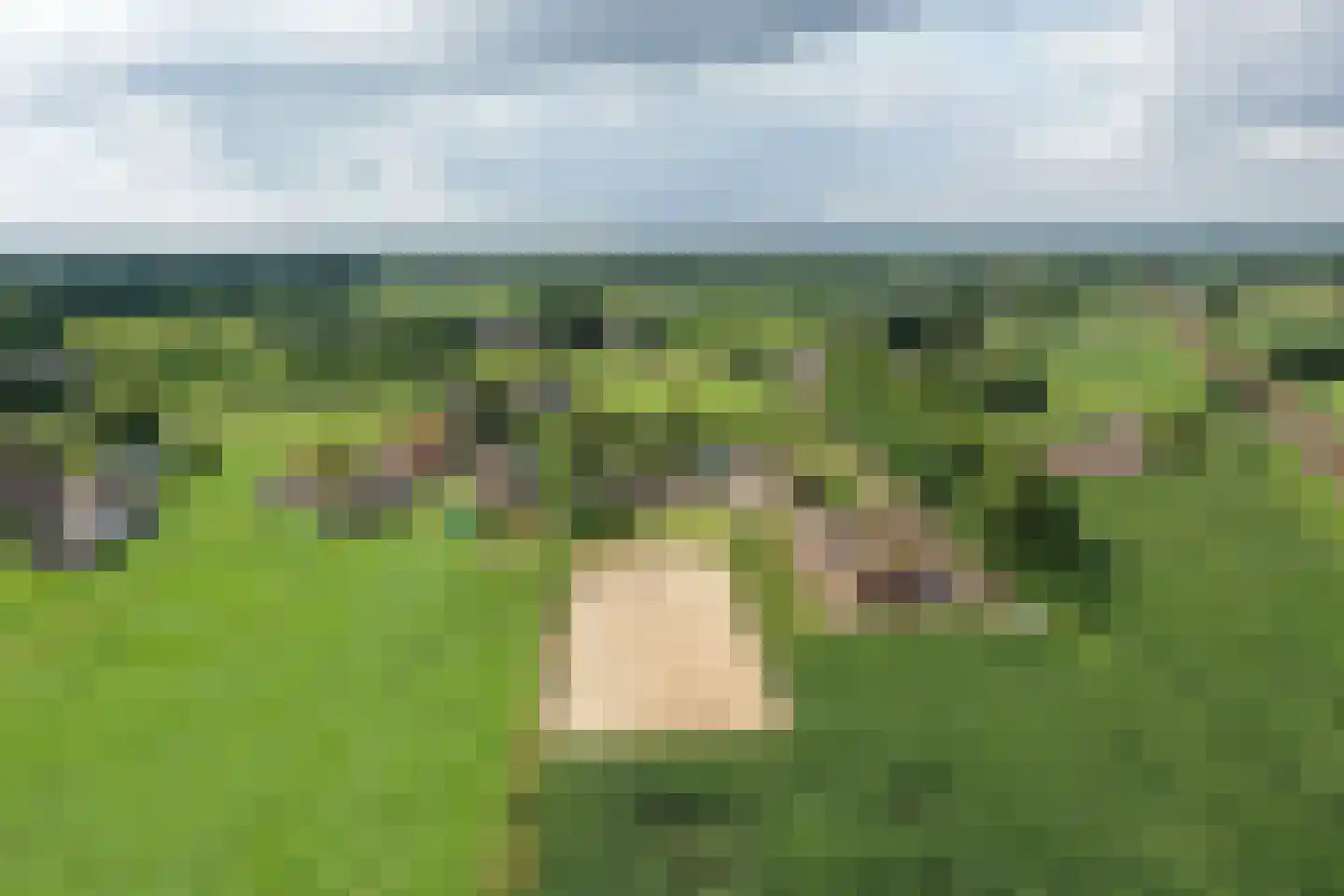 Arkemheenseweg 6 Putten thumbnail 45