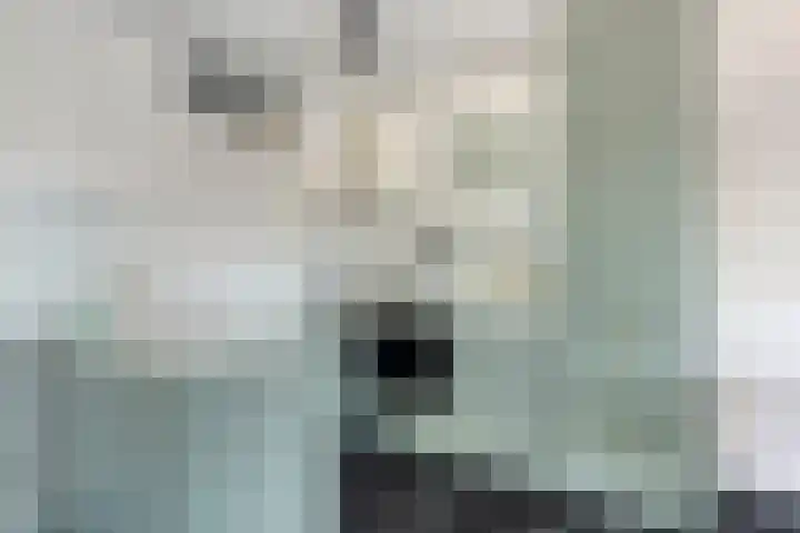 Arkendonk 58 Oosterhout thumbnail 11