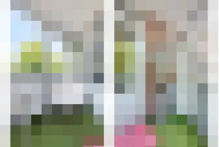 Arkendonk 58 Oosterhout thumbnail 12