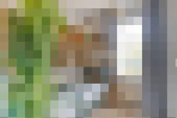 Arkendonk 58 Oosterhout thumbnail 14