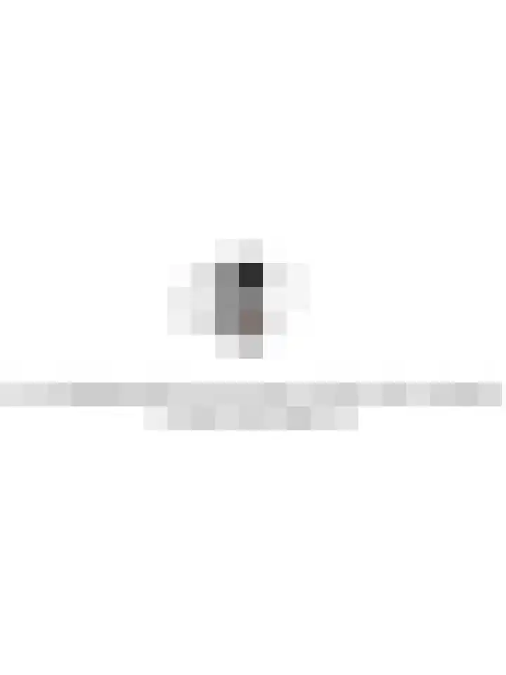 Arkendonk 58 Oosterhout thumbnail 20