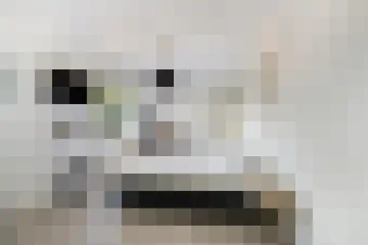 Arkendonk 58 Oosterhout thumbnail 5