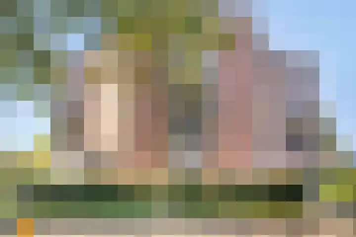 Arkendonk 58 Oosterhout thumbnail 6