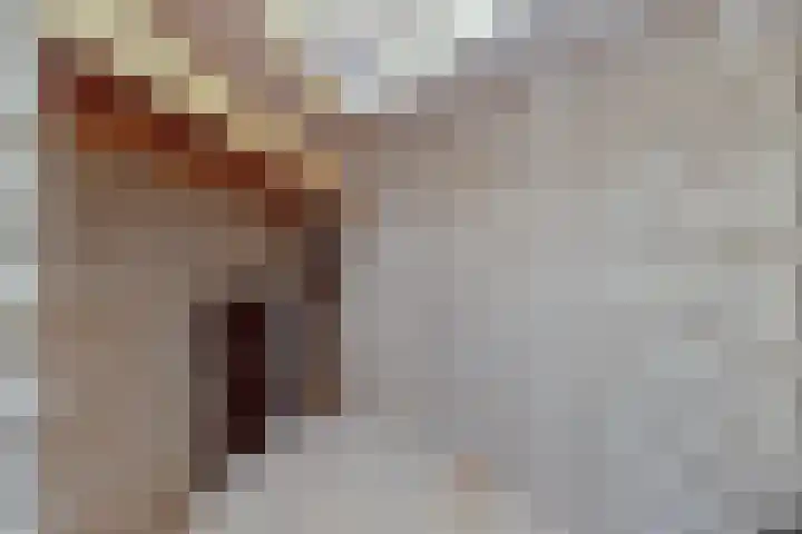 Arkendonk 60 Oosterhout thumbnail 22