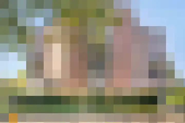 Arkendonk 60 Oosterhout thumbnail 23