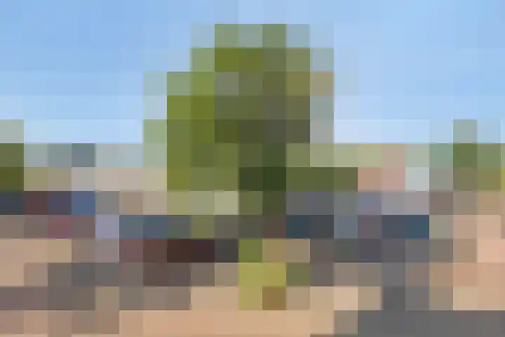 Arkendonk 60 Oosterhout thumbnail 24