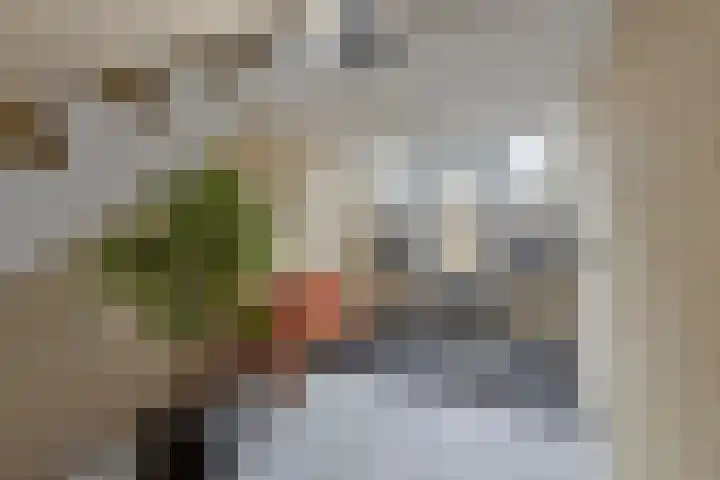 Arkendonk 60 Oosterhout thumbnail 4
