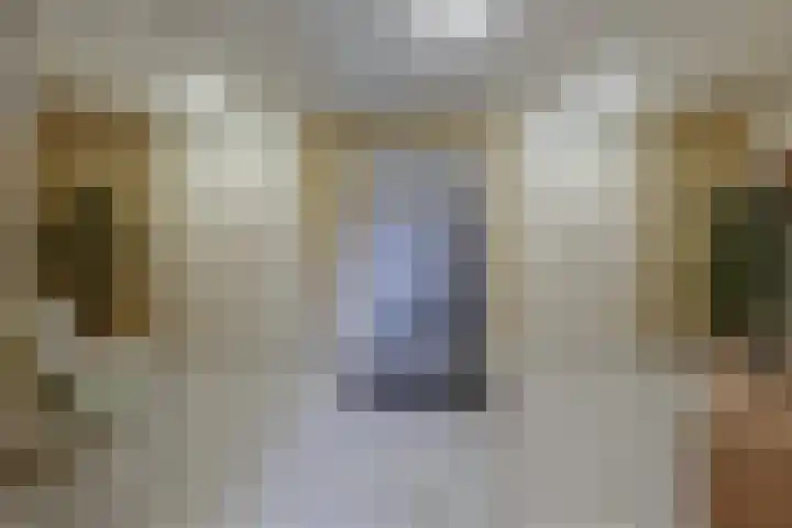 Arkendonk 60 Oosterhout thumbnail 5