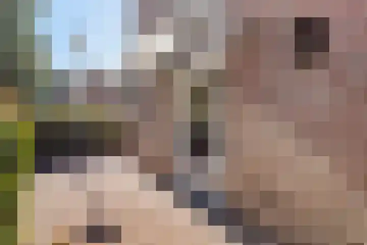 Arkendonk 60 Oosterhout thumbnail 7
