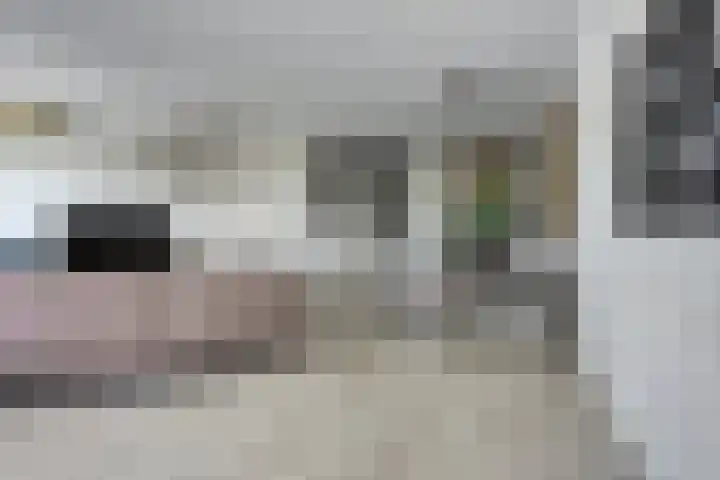 Arkendonk 62 A Oosterhout thumbnail 10