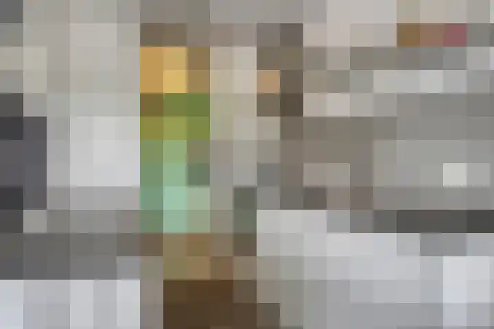 Arkendonk 62 A Oosterhout thumbnail 11