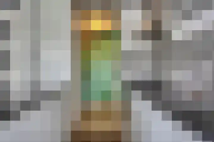 Arkendonk 62 A Oosterhout thumbnail 13