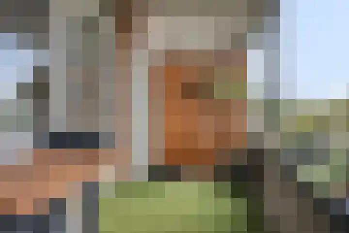 Arkendonk 62 A Oosterhout thumbnail 14