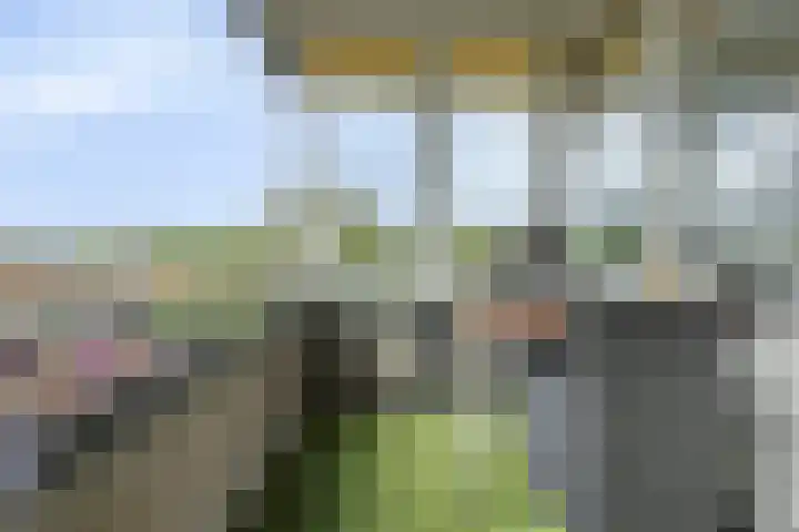 Arkendonk 62 A Oosterhout thumbnail 15