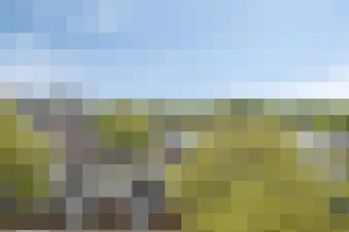 Arkendonk 62 A Oosterhout thumbnail 16