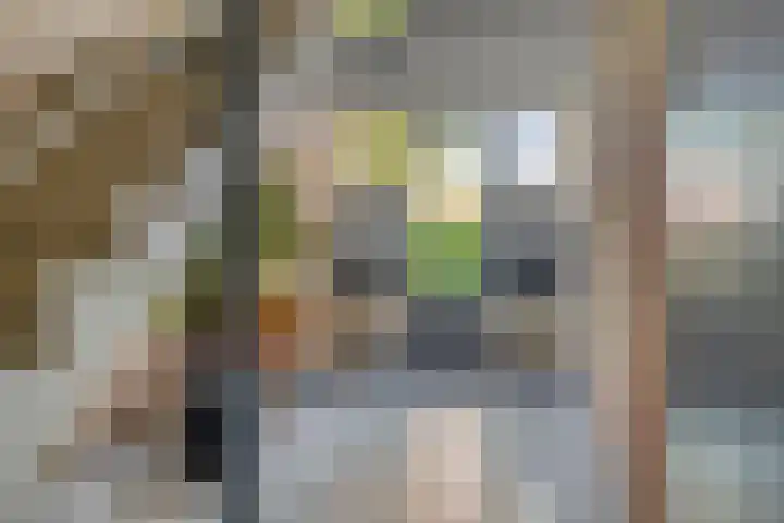 Arkendonk 62 A Oosterhout thumbnail 4