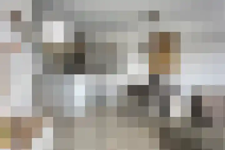 Arkendonk 62 A Oosterhout thumbnail 8