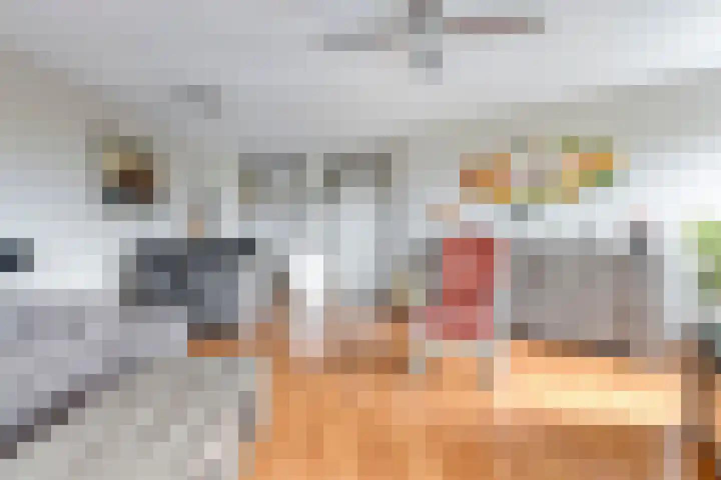 Arkendonk 63 Oosterhout thumbnail 11
