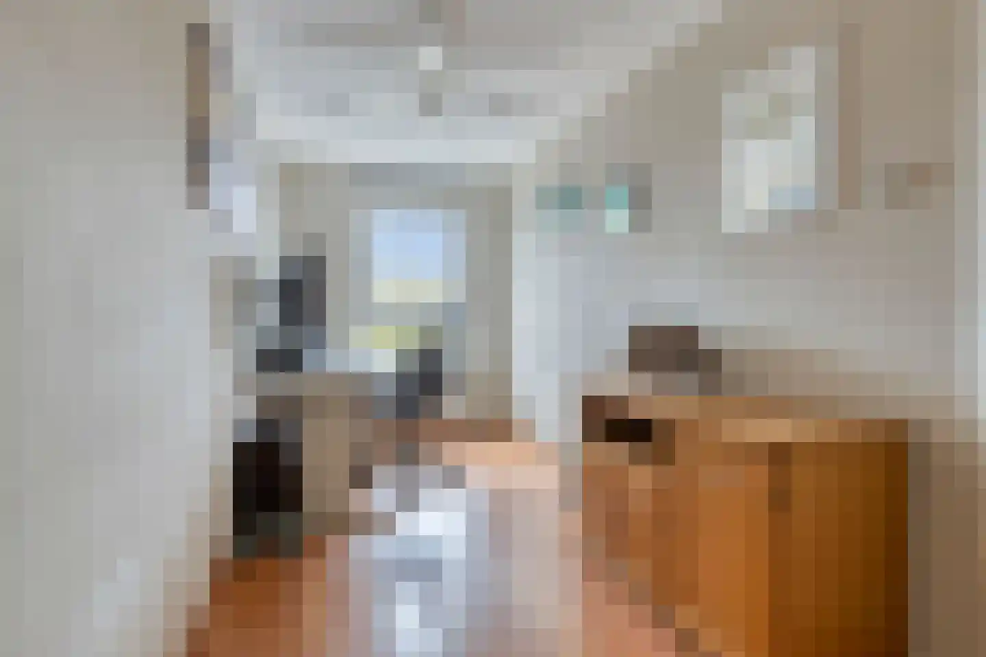Arkendonk 63 Oosterhout thumbnail 21