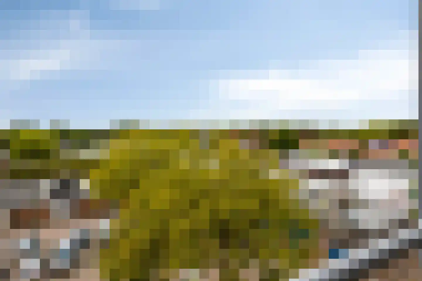 Arkendonk 63 Oosterhout thumbnail 25