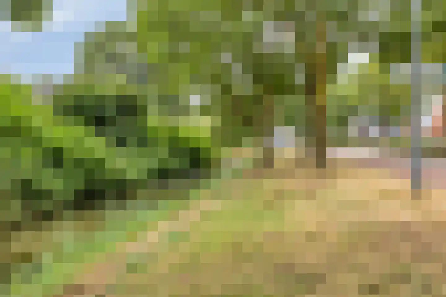 Arkendonk 63 Oosterhout thumbnail 26