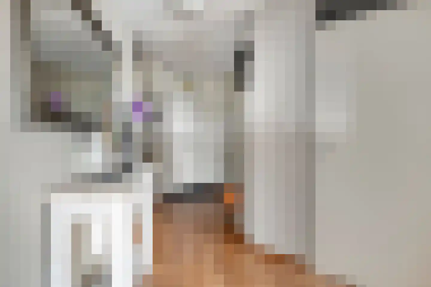 Arkendonk 63 Oosterhout thumbnail 8