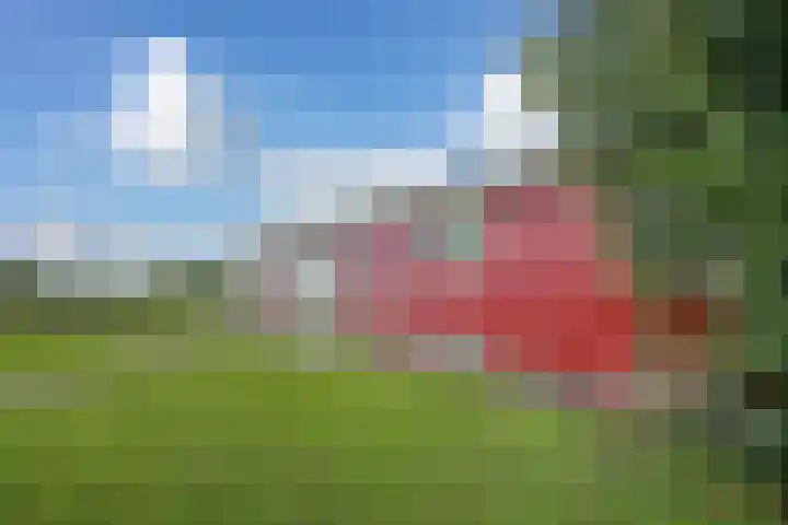 Arkenpark Mur 21 Vinkeveen thumbnail 33