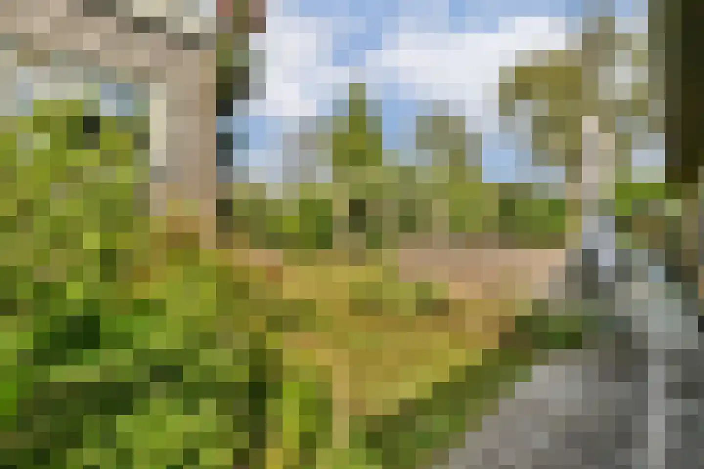 Arkenpark Mur 28 Vinkeveen thumbnail 24