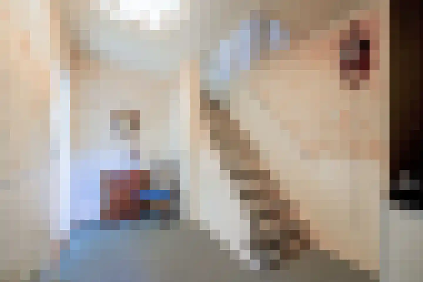 Arklaan 3 Heiloo thumbnail 12