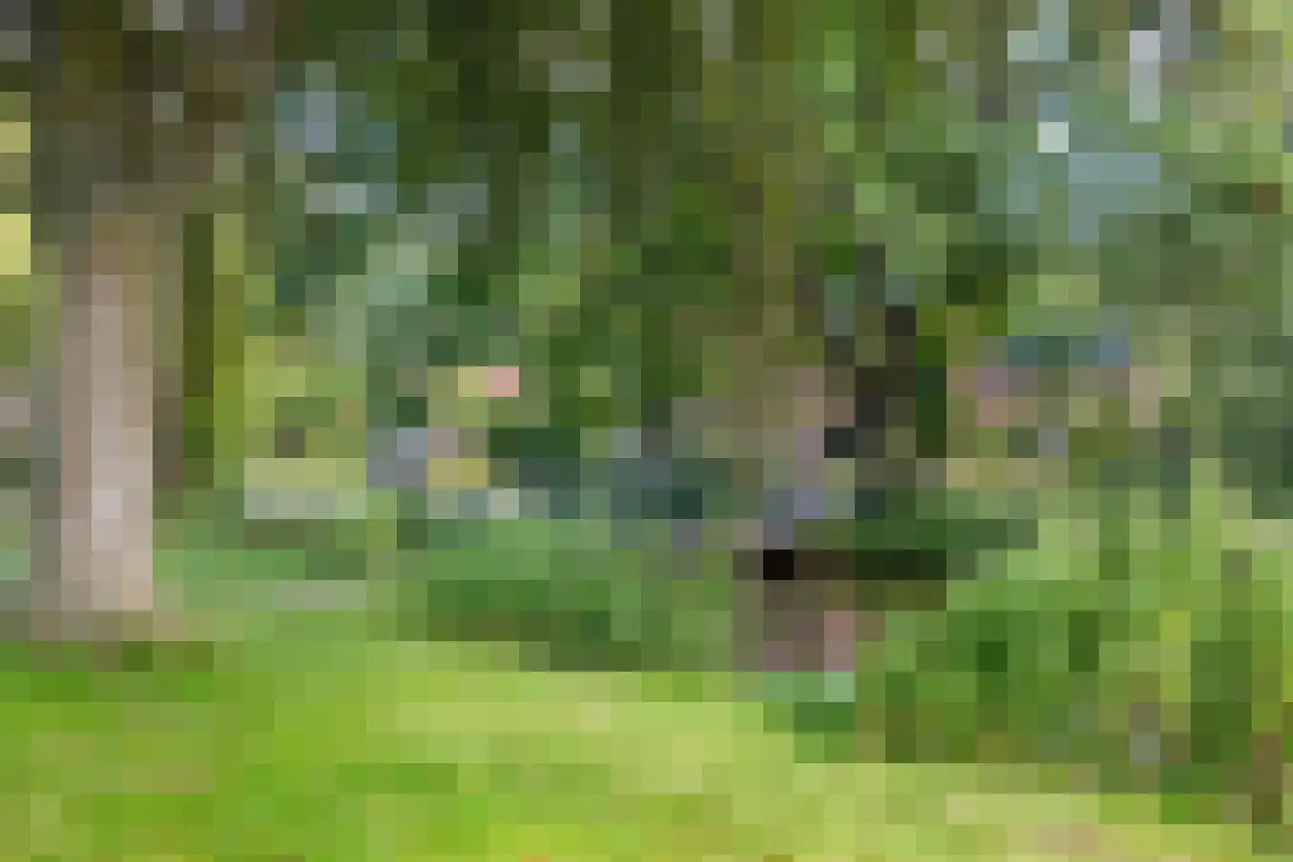 Arklaan 3 Heiloo thumbnail 32