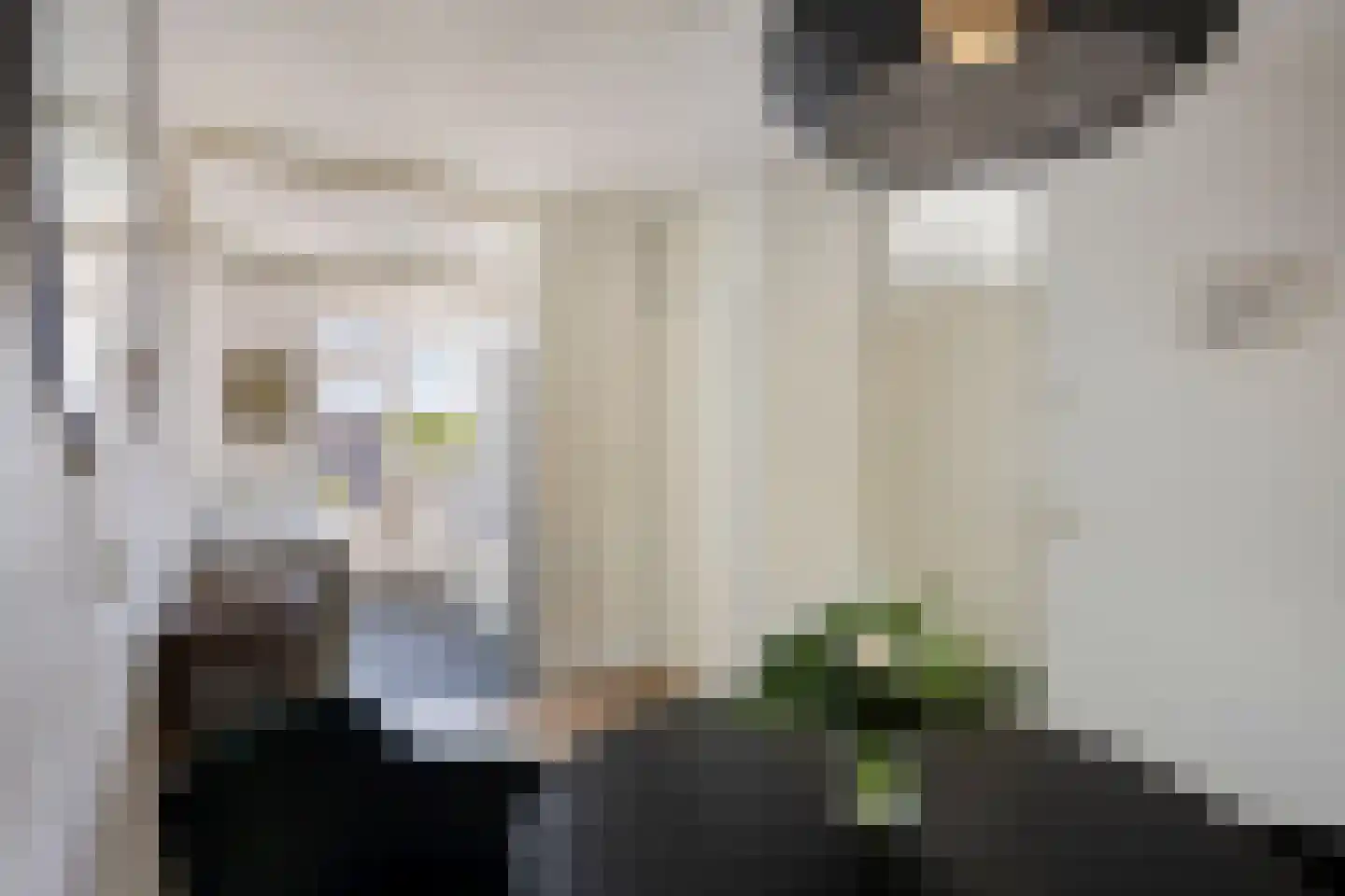 Arkplein 55 Alkmaar thumbnail 20