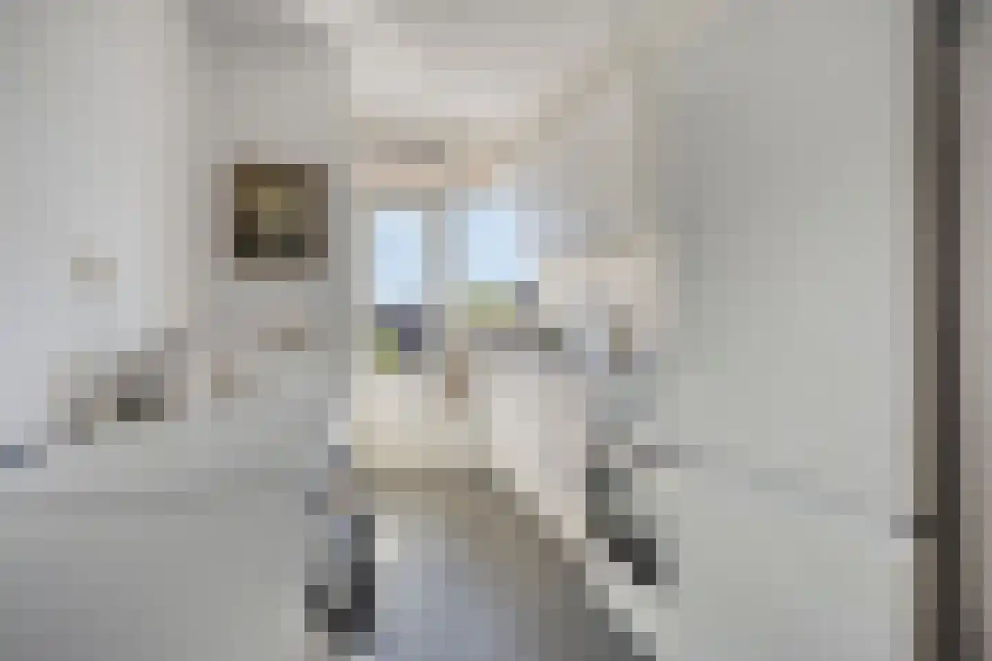 Arkplein 55 Alkmaar thumbnail 22
