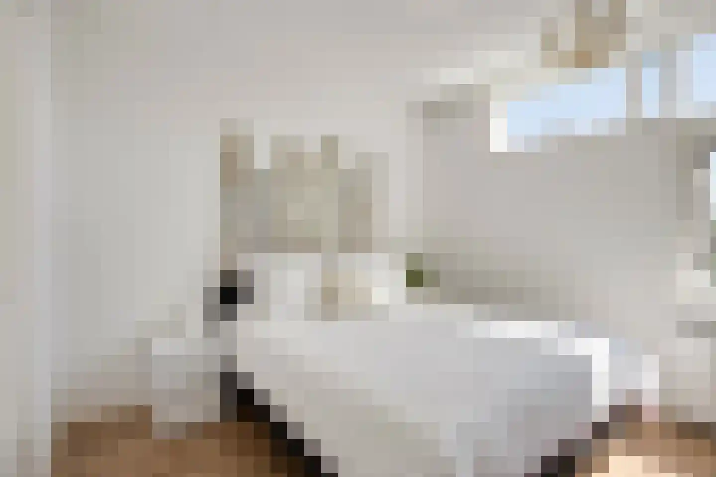 Arkplein 55 Alkmaar thumbnail 26