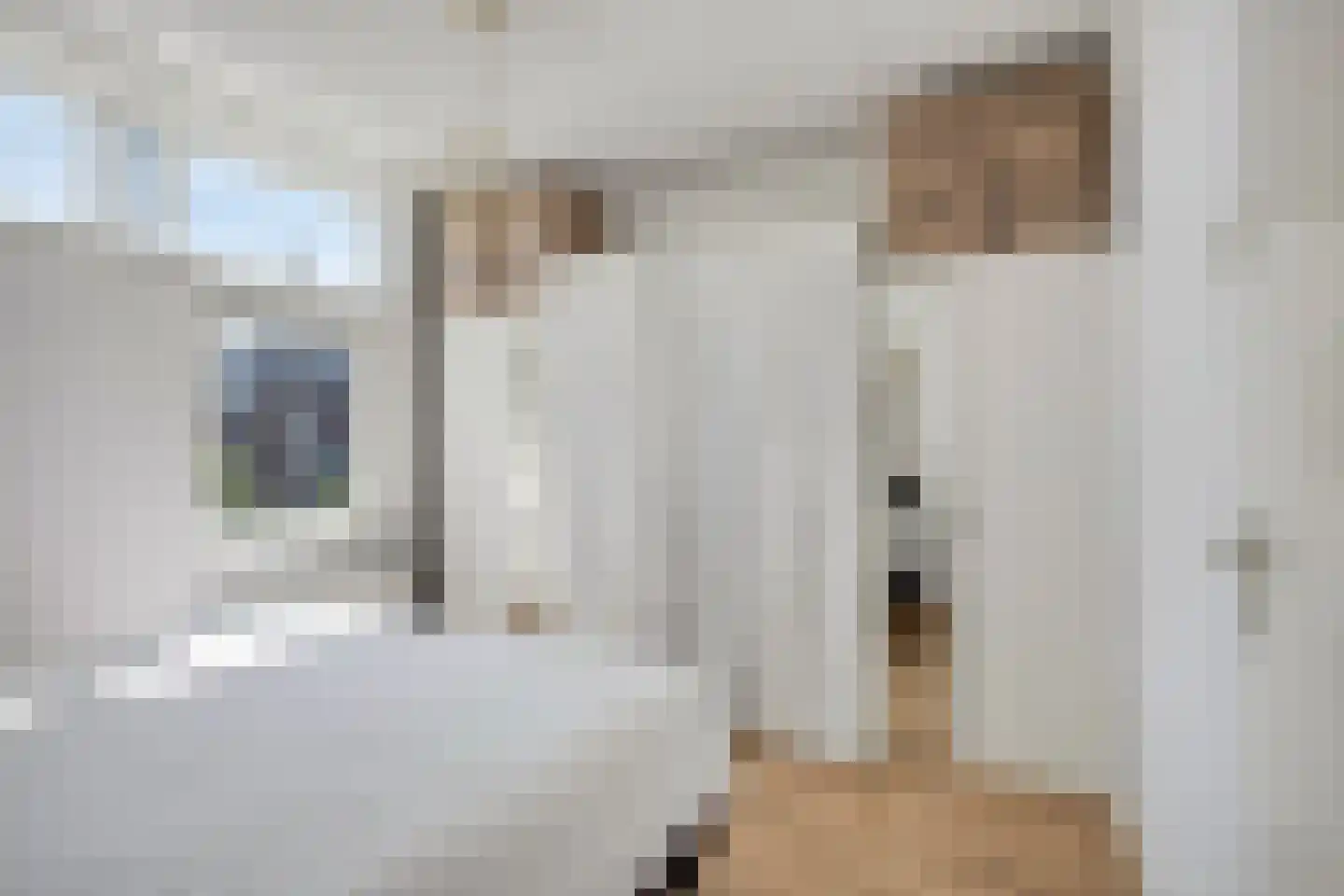 Arkplein 55 Alkmaar thumbnail 27