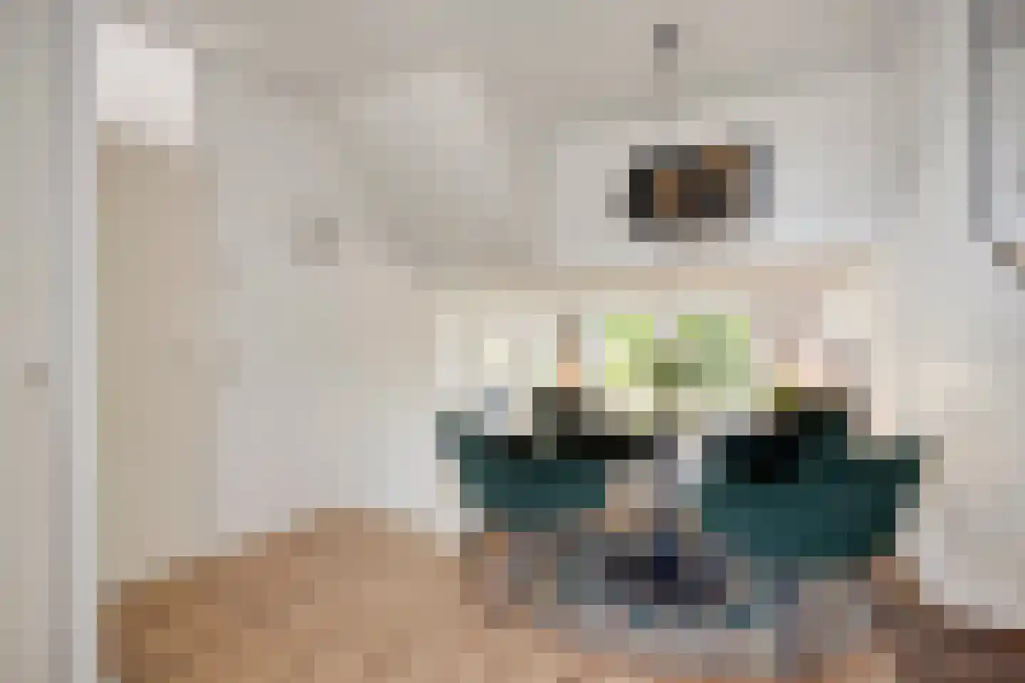 Arkplein 55 Alkmaar thumbnail 9