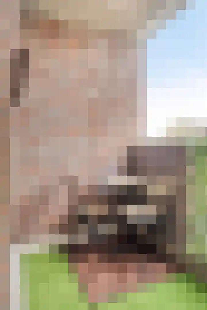 Arkplein 87 Alkmaar thumbnail 12