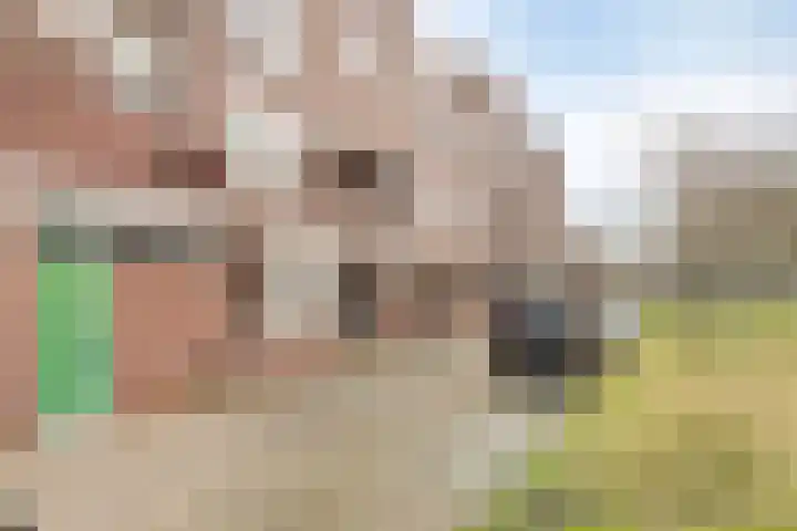 Arkplein 87 Alkmaar thumbnail 28